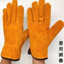 画像をギャラリービューアに読み込む, 耐熱グローブ キャンプ 耐火 手袋 軍手 アウトドア BBQ 焚火 作業用 牛皮 フリーサイズ バーベキュー