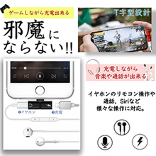 画像をギャラリービューアに読み込む, 変換アダプタ 詳細機能