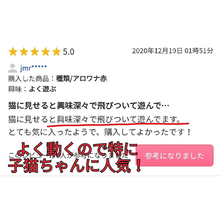 画像をギャラリービューアに読み込む, 猫おもちゃ 魚 自動 電動 猫のおもちゃ 噛むおもちゃ 動く魚 電動魚 犬 ペット用品 遊び道具 人気 ハマる 喜ぶ USB充電式 またたび