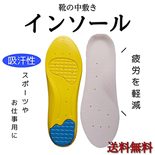 靴の中敷き インソール メイン画像