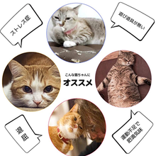 画像をギャラリービューアに読み込む, 猫おもちゃ　トンネル　おもちゃ 　キャットトンネル　S型トンネル プレイトンネル ストレス発散 運動不足 対策 ２穴付き 折りたたみ 直径25CM 中大型猫使
